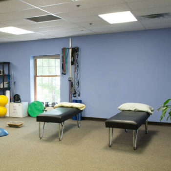 Chiropractor-in-St.-Charles-IL-350×350